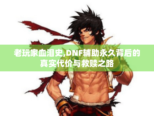 老玩家血泪史,DNF辅助永久背后的真实代价与救赎之路