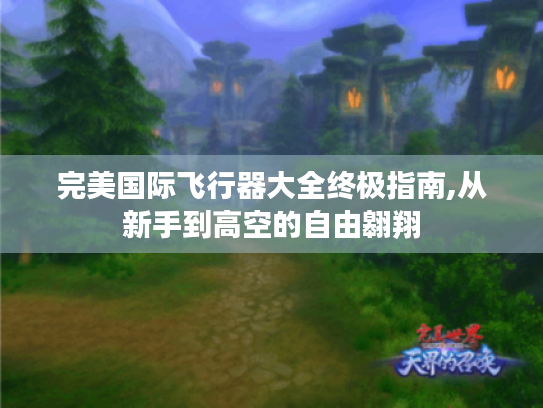 完美国际飞行器大全终极指南,从新手到高空的自由翱翔 完美国际飞行器大全终极指南,从新手到高空的自由翱翔