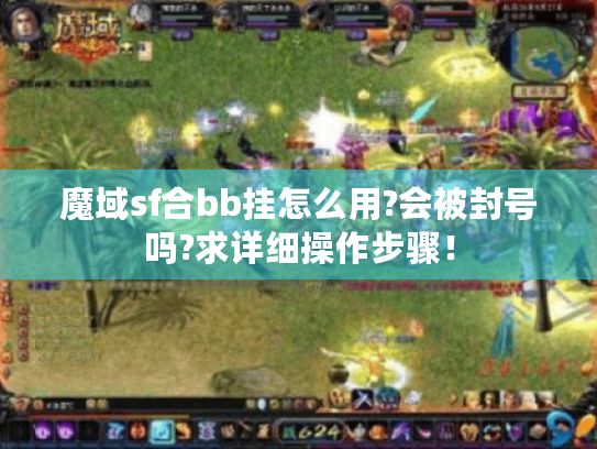 魔域sf合bb挂怎么用?会被封号吗?求详细操作步骤！