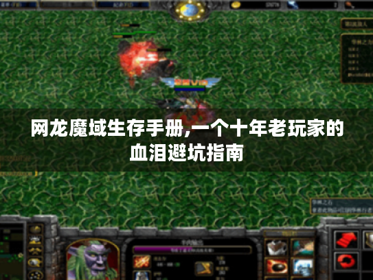 网龙魔域生存手册,一个十年老玩家的血泪避坑指南 网龙魔域生存手册,一个十年老玩家的血泪避坑指南