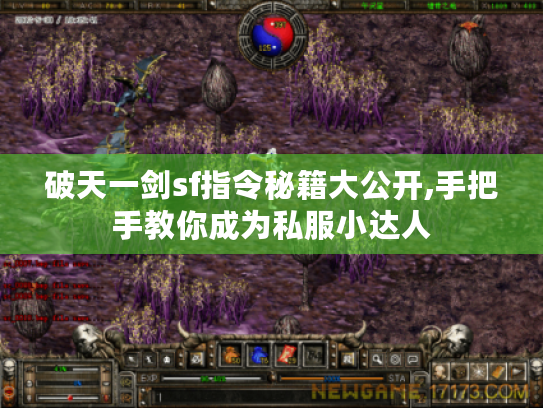 破天一剑sf指令秘籍大公开,手把手教你成为私服小达人 破天一剑sf指令秘籍大公开,手把手教你成为私服小达人