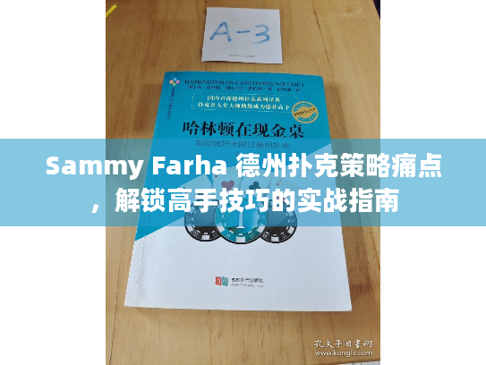 Sammy Farha 德州扑克策略痛点,解锁高手技巧的实战指南 Sammy Farha 德州扑克策略痛点,解锁高手技巧的实战指南