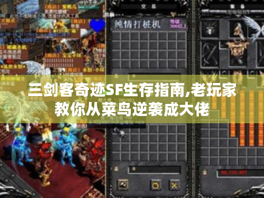 三剑客奇迹SF生存指南,老玩家教你从菜鸟逆袭成大佬 三剑客奇迹SF生存指南,老玩家教你从菜鸟逆袭成大佬
