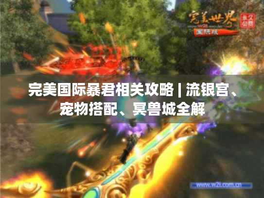 完美国际暴君相关攻略 | 流银宫、宠物搭配、冥兽城全解 完美国际暴君相关攻略 | 流银宫、宠物搭配、冥兽城全解