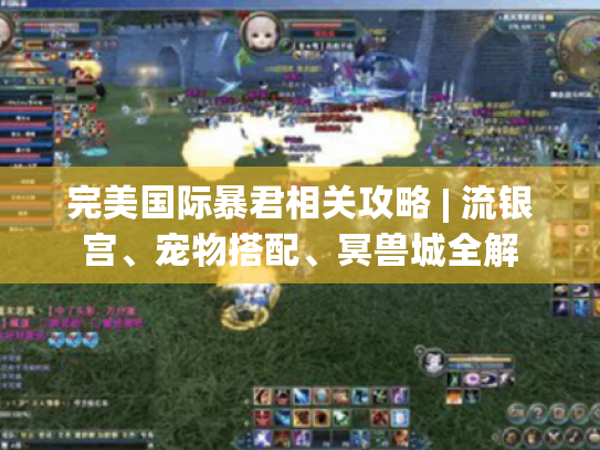 完美国际暴君相关攻略 | 流银宫、宠物搭配、冥兽城全解 完美国际暴君相关攻略 | 流银宫、宠物搭配、冥兽城全解