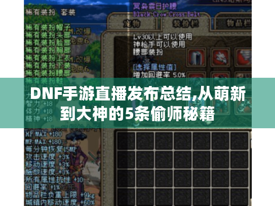 DNF手游直播发布总结,从萌新到大神的5条偷师秘籍 DNF手游直播发布总结,从萌新到大神的5条偷师秘籍