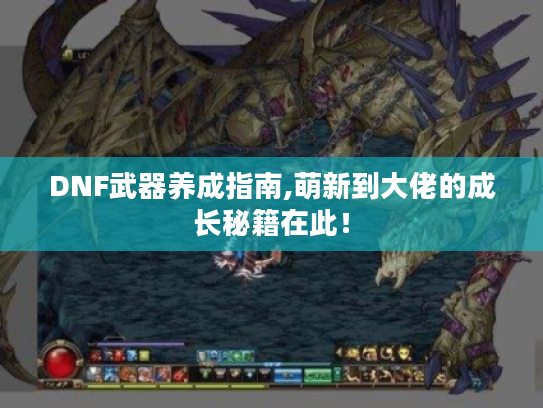 DNF武器养成指南,萌新到大佬的成长秘籍在此! DNF武器养成指南,萌新到大佬的成长秘籍在此!