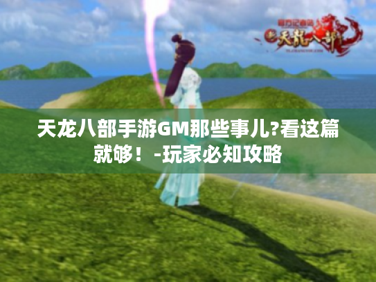 天龙八部手游GM那些事儿?看这篇就够!-玩家必知攻略 天龙八部手游GM那些事儿?看这篇就够!-玩家必知攻略