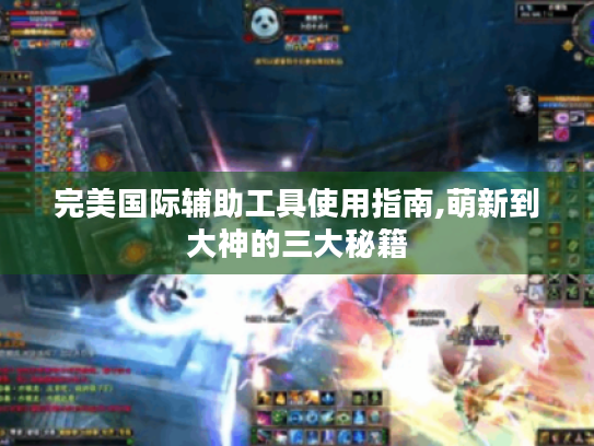 完美国际辅助工具使用指南,萌新到大神的三大秘籍 完美国际辅助工具使用指南,萌新到大神的三大秘籍