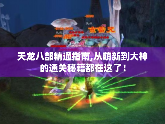 天龙八部精通指南,从萌新到大神的通关秘籍都在这了! 天龙八部精通指南,从萌新到大神的通关秘籍都在这了!