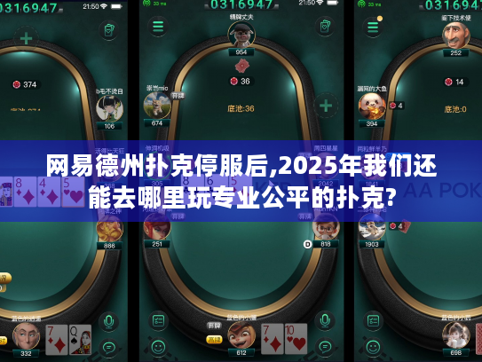 网易德州扑克停服后,2025年我们还能去哪里玩专业公平的扑克? 网易德州扑克停服后,2025年我们还能去哪里玩专业公平的扑克?