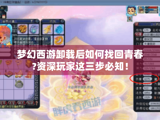 梦幻西游卸载后如何找回青春?资深玩家这三步必知! 梦幻西游卸载后如何找回青春?资深玩家这三步必知!