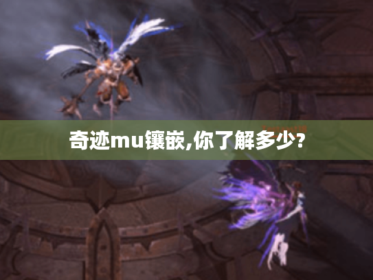 奇迹mu镶嵌,你了解多少? 奇迹mu镶嵌,你了解多少?