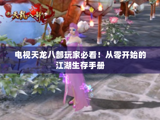 电视天龙八部玩家必看!从零开始的江湖生存手册 电视天龙八部玩家必看!从零开始的江湖生存手册