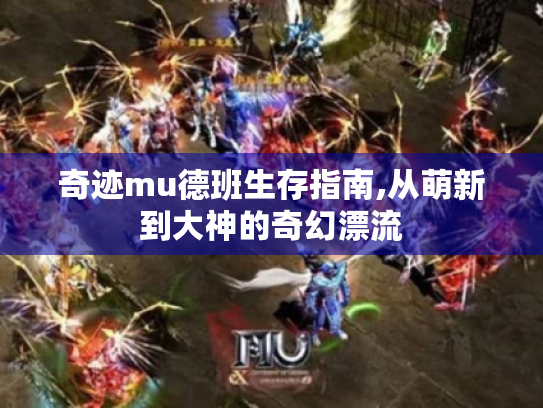 奇迹mu德班生存指南,从萌新到大神的奇幻漂流 奇迹mu德班生存指南,从萌新到大神的奇幻漂流