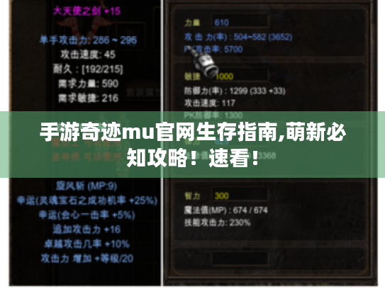 手游奇迹mu官网生存指南,萌新必知攻略!速看! 手游奇迹mu官网生存指南,萌新必知攻略!速看!