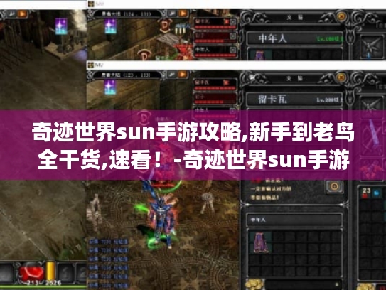 奇迹世界sun手游攻略,新手到老鸟全干货,速看！-奇迹世界sun手游