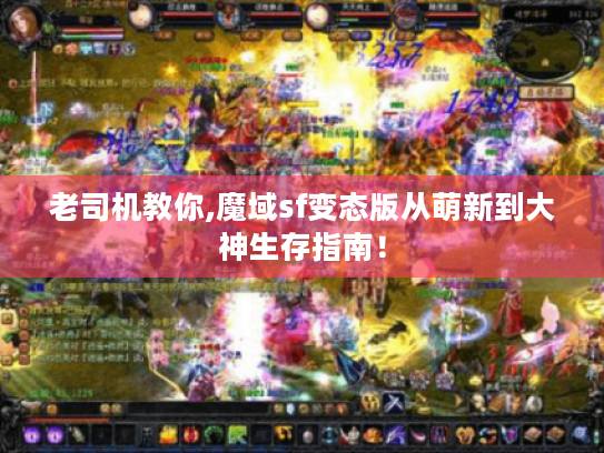 老司机教你,魔域sf变态版从萌新到大神生存指南！