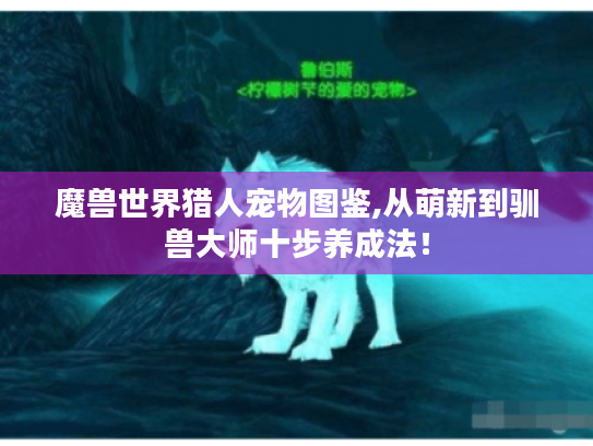 魔兽世界猎人宠物图鉴,从萌新到驯兽大师十步养成法! 魔兽世界猎人宠物图鉴,从萌新到驯兽大师十步养成法!