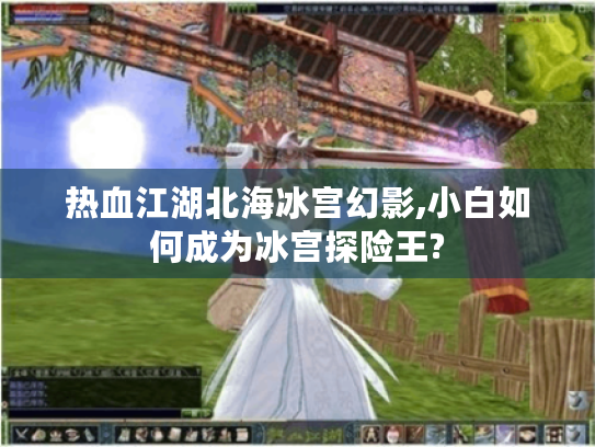 热血江湖北海冰宫幻影,小白如何成为冰宫探险王? 热血江湖北海冰宫幻影,小白如何成为冰宫探险王?