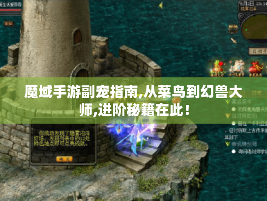 魔域手游副宠指南,从菜鸟到幻兽大师,进阶秘籍在此! 魔域手游副宠指南,从菜鸟到幻兽大师,进阶秘籍在此!