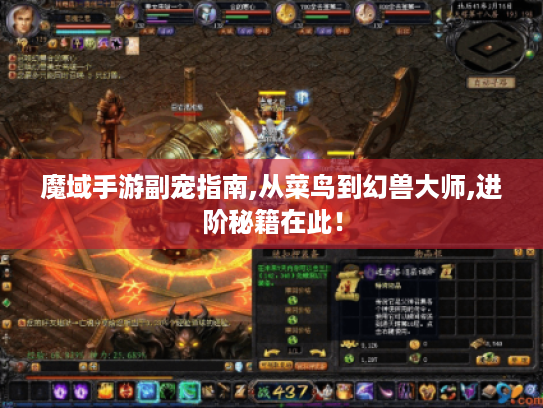 魔域手游副宠指南,从菜鸟到幻兽大师,进阶秘籍在此! 魔域手游副宠指南,从菜鸟到幻兽大师,进阶秘籍在此!