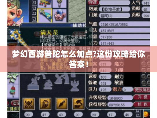 梦幻西游普陀怎么加点?这份攻略给你答案! 梦幻西游普陀怎么加点?这份攻略给你答案!