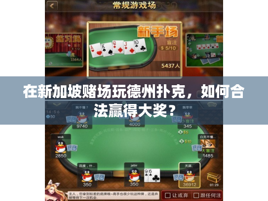 在新加坡赌场玩德州扑克,如何合法赢得大奖? 在新加坡赌场玩德州扑克,如何合法赢得大奖?