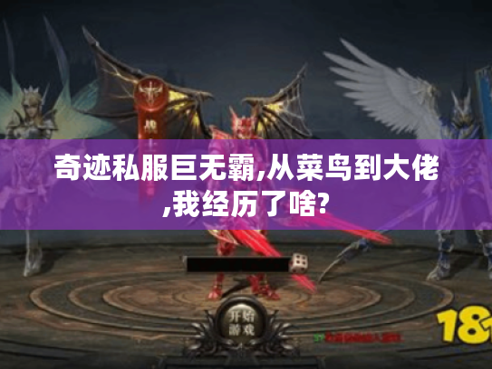 奇迹私服巨无霸,从菜鸟到大佬,我经历了啥? 奇迹私服巨无霸,从菜鸟到大佬,我经历了啥?