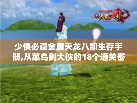 少侠必读金庸天龙八部生存手册,从菜鸟到大侠的18个通关密码