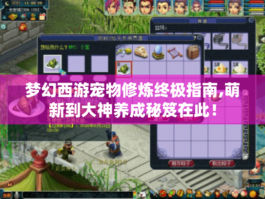 梦幻西游宠物修炼终极指南,萌新到大神养成秘笈在此! 梦幻西游宠物修炼终极指南,萌新到大神养成秘笈在此!