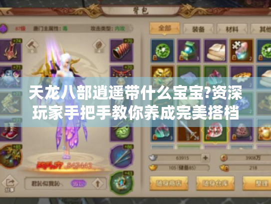 天龙八部逍遥带什么宝宝?资深玩家手把手教你养成完美搭档 天龙八部逍遥带什么宝宝?资深玩家手把手教你养成完美搭档