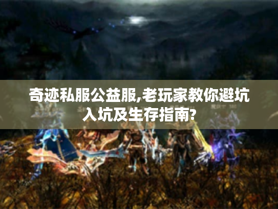 奇迹私服公益服,老玩家教你避坑入坑及生存指南? 奇迹私服公益服,老玩家教你避坑入坑及生存指南?