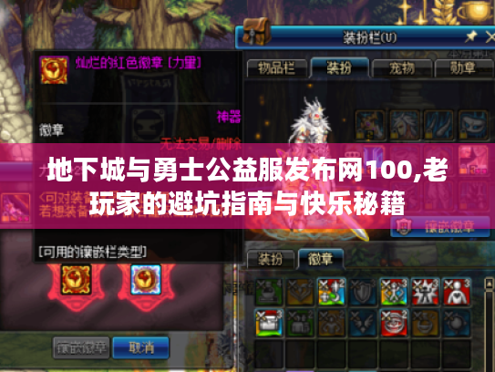 地下城与勇士公益服发布网100,老玩家的避坑指南与快乐秘籍 地下城与勇士公益服发布网100,老玩家的避坑指南与快乐秘籍