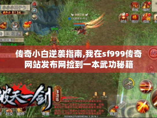 传奇小白逆袭指南,我在sf999传奇网站发布网捡到一本武功秘籍 传奇小白逆袭指南,我在sf999传奇网站发布网捡到一本武功秘籍