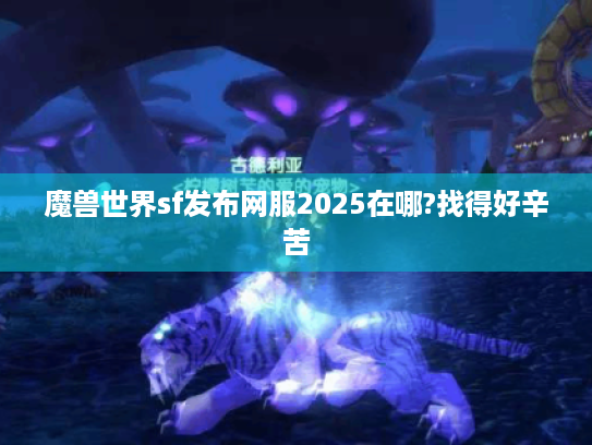 魔兽世界sf发布网服2025在哪?找得好辛苦 魔兽世界sf发布网服2025在哪?找得好辛苦