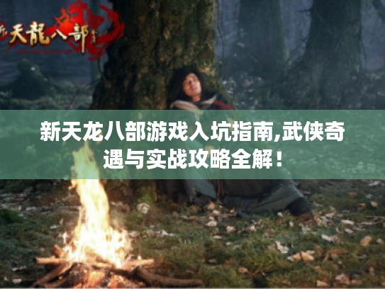 新天龙八部游戏入坑指南,武侠奇遇与实战攻略全解! 新天龙八部游戏入坑指南,武侠奇遇与实战攻略全解!