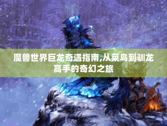 魔兽世界巨龙奇遇指南,从菜鸟到驯龙高手的奇幻之旅 魔兽世界巨龙奇遇指南,从菜鸟到驯龙高手的奇幻之旅