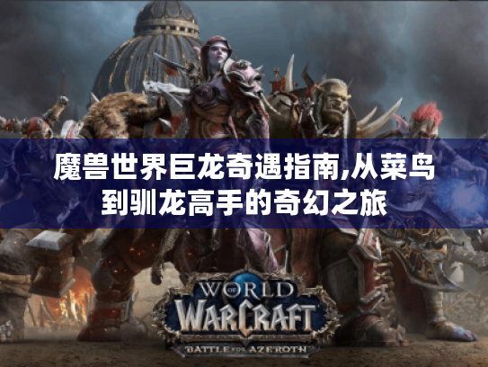 魔兽世界巨龙奇遇指南,从菜鸟到驯龙高手的奇幻之旅 魔兽世界巨龙奇遇指南,从菜鸟到驯龙高手的奇幻之旅