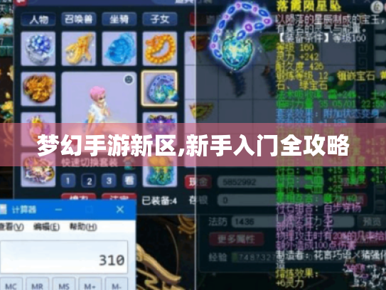梦幻手游新区,新手入门全攻略