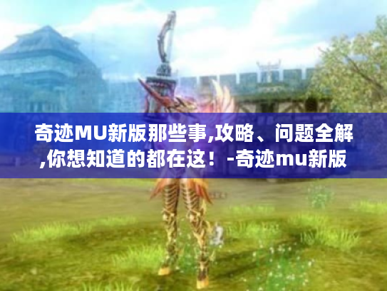 奇迹MU新版那些事,攻略、问题全解,你想知道的都在这！-奇迹mu新版