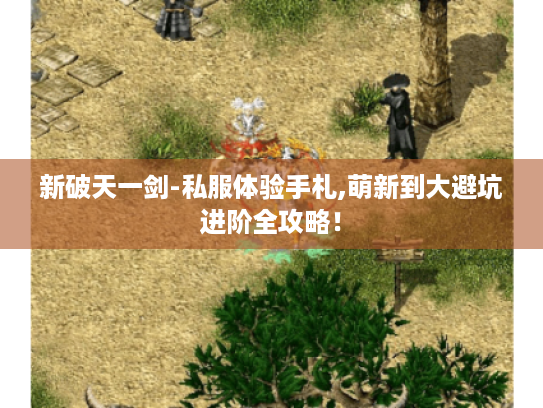 新破天一剑-私服体验手札,萌新到大避坑进阶全攻略! 新破天一剑-私服体验手札,萌新到大避坑进阶全攻略!