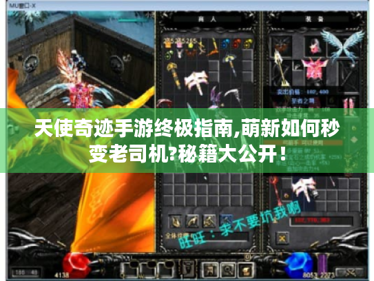 天使奇迹手游终极指南,萌新如何秒变老司机?秘籍大公开! 天使奇迹手游终极指南,萌新如何秒变老司机?秘籍大公开!