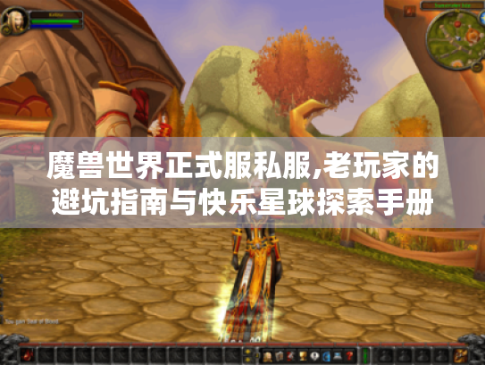 魔兽世界正式服私服,老玩家的避坑指南与快乐星球探索手册 魔兽世界正式服私服,老玩家的避坑指南与快乐星球探索手册