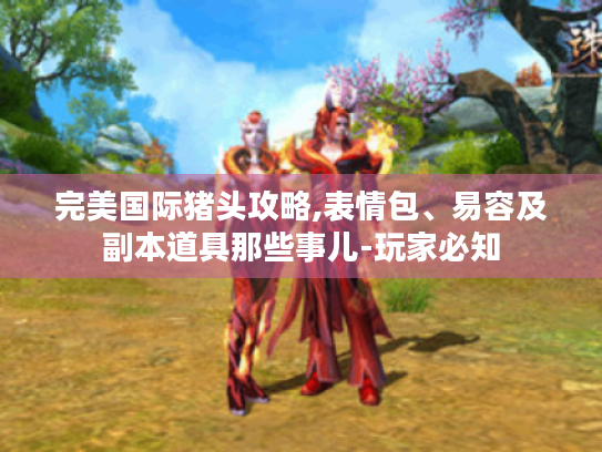 完美国际猪头攻略,表情包、易容及副本道具那些事儿-玩家必知