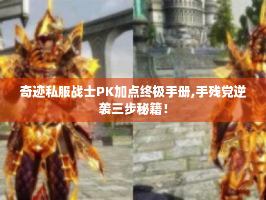 奇迹私服战士PK加点终极手册,手残党逆袭三步秘籍! 奇迹私服战士PK加点终极手册,手残党逆袭三步秘籍!
