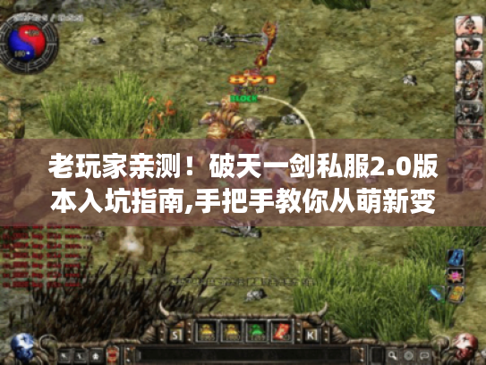 老玩家亲测！破天一剑私服2.0版本入坑指南,手把手教你从萌新变大佬