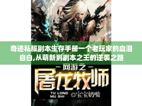 奇迹私服副本生存手册一个老玩家的血泪自白,从萌新到副本之王的逆袭之路 奇迹私服副本生存手册一个老玩家的血泪自白,从萌新到副本之王的逆袭之路