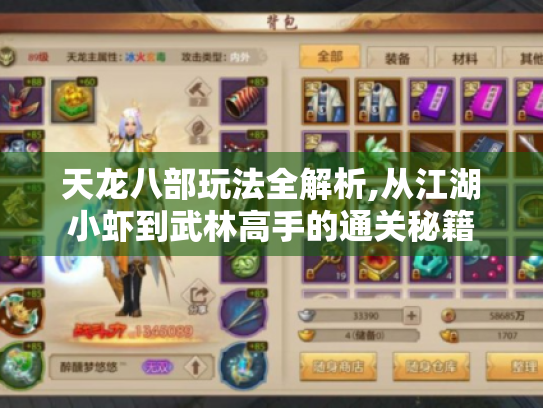 天龙八部玩法全解析,从江湖小虾到武林高手的通关秘籍