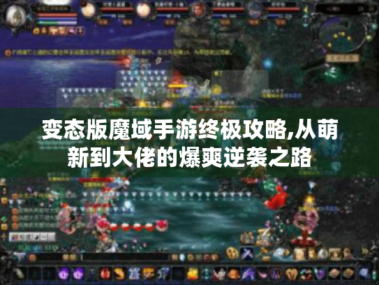 变态版魔域手游终极攻略,从萌新到大佬的爆爽逆袭之路